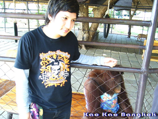 Name:  ghtt.jpg
Views: 415
Size:  123.3 KB