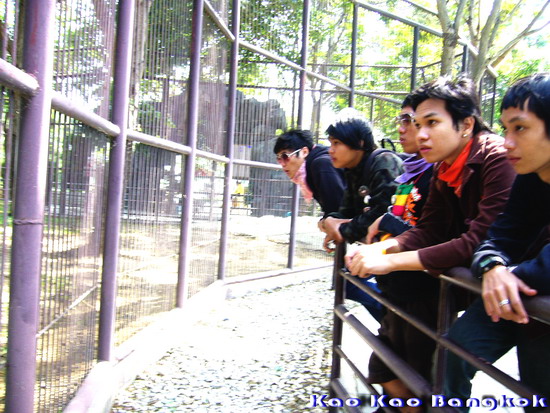 Name:  ghhht.jpg
Views: 357
Size:  122.2 KB