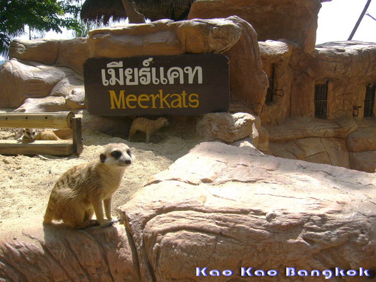 Name:  ghygff.jpg
Views: 353
Size:  105.9 KB