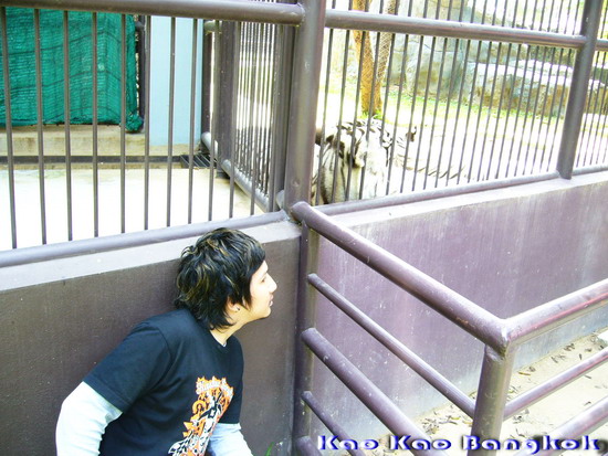 Name:  fgttttt.jpg
Views: 355
Size:  106.5 KB