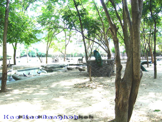 Name:  ghyy.jpg
Views: 362
Size:  143.8 KB