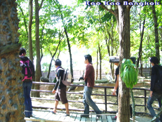 Name:  fjffijg.jpg
Views: 358
Size:  139.7 KB