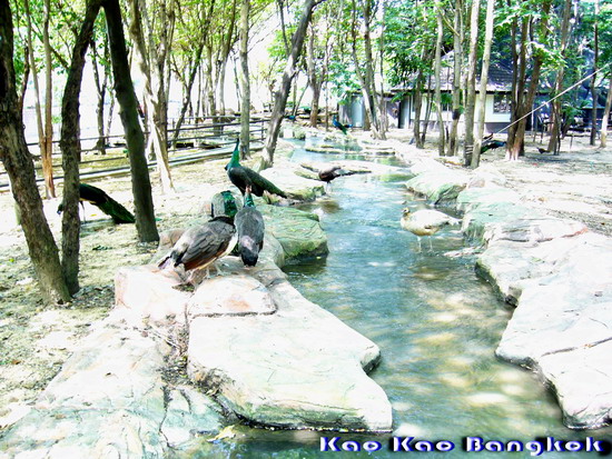 Name:  gghh.jpg
Views: 359
Size:  142.8 KB