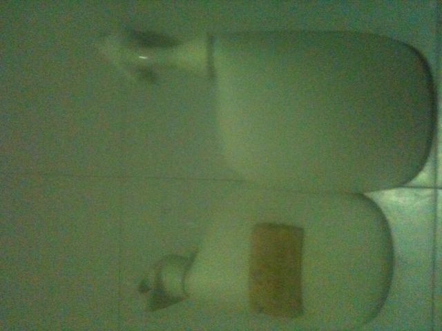 Name:  IMG_0941.jpg
Views: 1935
Size:  33.3 KB