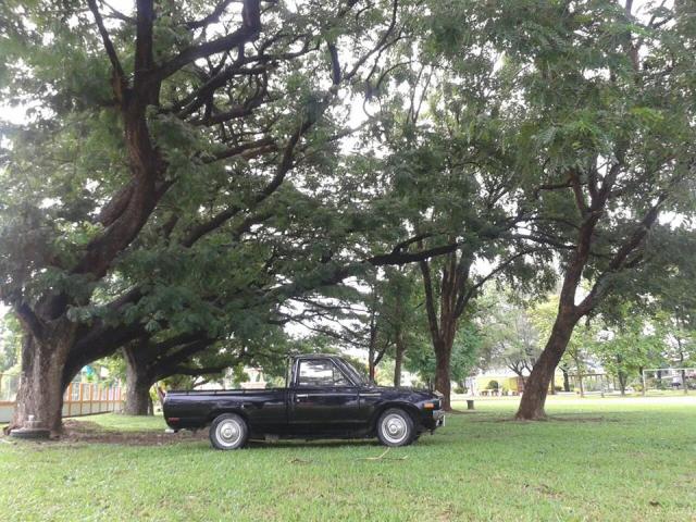 Name:  968823_3172532847874_1693669678_n.jpg
Views: 1250
Size:  79.3 KB