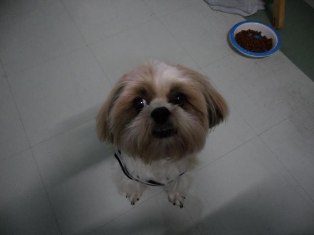 Name:  SAM_1731.jpg
Views: 127
Size:  18.6 KB