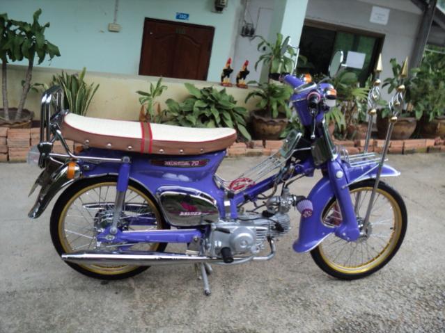 Name:  DSC05620.jpg
Views: 550
Size:  55.5 KB