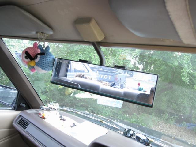 Name:  IMG_0059.jpg
Views: 349
Size:  47.0 KB