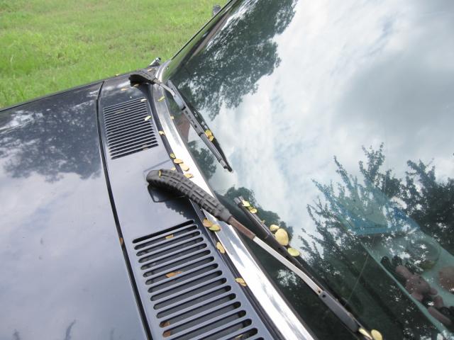 Name:  IMG_0081.jpg
Views: 359
Size:  48.3 KB