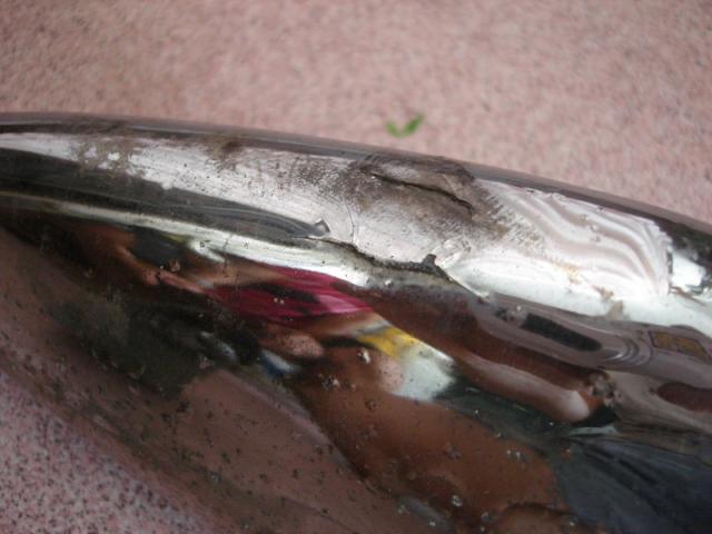 Name:  DSC06668_resize.jpg
Views: 517
Size:  36.0 KB