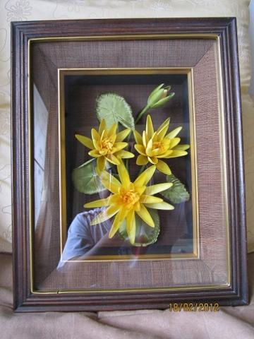 Name:  011.jpg
Views: 1108
Size:  32.0 KB