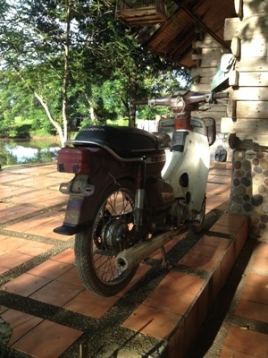 Name:  IMG_1761.JPG
Views: 232
Size:  80.0 KB