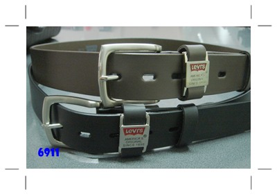 Name:  L6911X .jpg
Views: 1741
Size:  29.1 KB