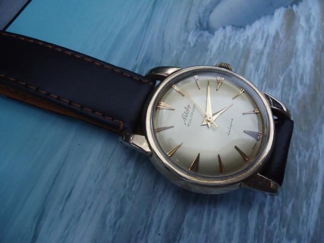 Name:  DSC03805.jpg
Views: 480
Size:  31.3 KB