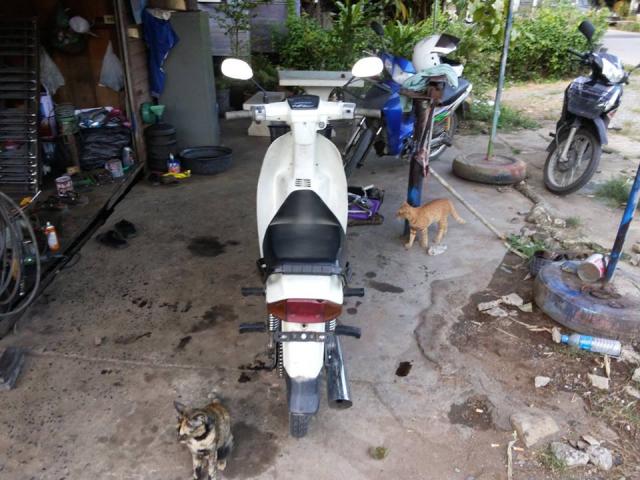 Name:  1176361_517111111702051_1834848540_n.jpg
Views: 218
Size:  57.2 KB