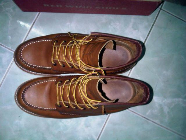 Name:  1239851_621347787905064_571932675_n.jpg
Views: 465
Size:  40.8 KB