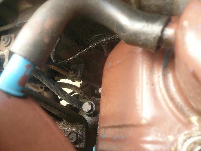 Name:  P1140750.jpg
Views: 439
Size:  31.5 KB