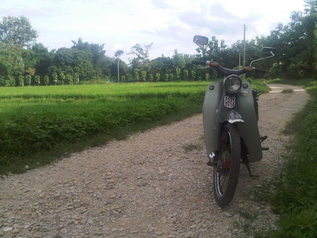 Name:  c65 5.jpg
Views: 191
Size:  53.7 KB
