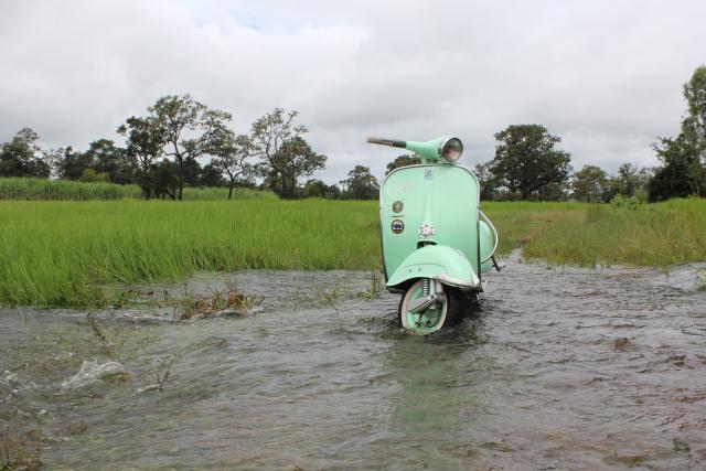 Name:  IMG_2727-2.jpg
Views: 80
Size:  43.4 KB