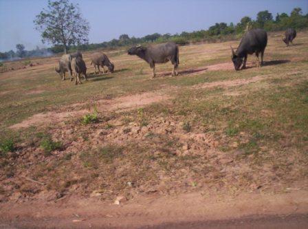 Name:  100_4604.JPG
Views: 438
Size:  31.1 KB