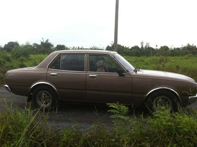 Name:  IMG_5750.jpg
Views: 99
Size:  39.2 KB