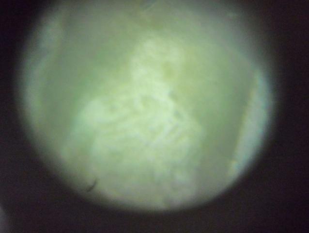 Name:  SAM_5736.jpg
Views: 1073
Size:  17.7 KB
