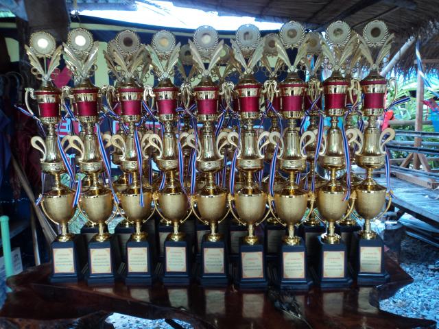 Name:  DSC07921.jpg
Views: 437
Size:  80.2 KB