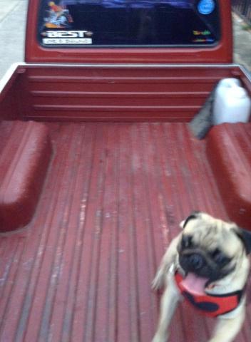 Name:  936759_3627280576239_446406411_n.jpg
Views: 729
Size:  22.6 KB