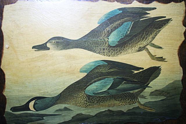 Name:  q1341.jpg
Views: 598
Size:  46.6 KB