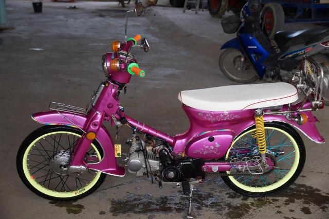 Name:  DSC06441.jpg
Views: 118
Size:  49.7 KB