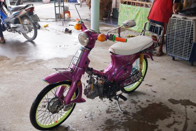 Name:  DSC06446.jpg
Views: 116
Size:  58.9 KB