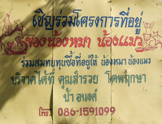 Name:  55.jpg
Views: 640
Size:  127.7 KB