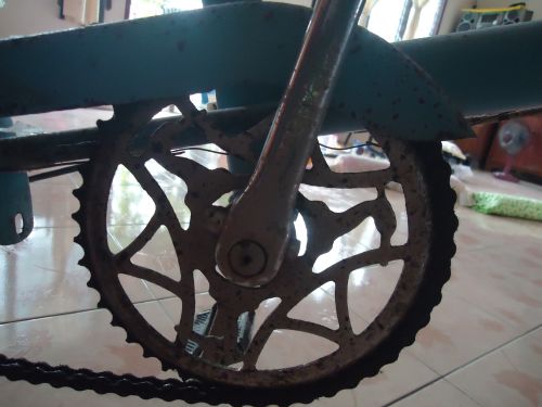 Name:  resized_DSC05363.jpg
Views: 966
Size:  29.8 KB