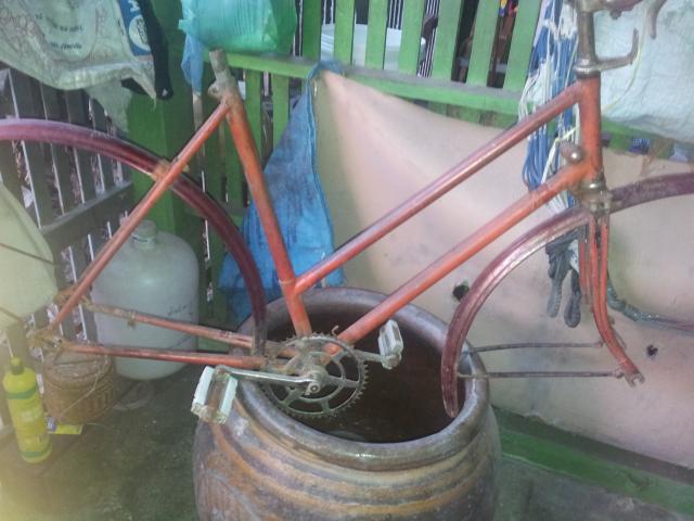 Name:  20131211_173751.jpg
Views: 264
Size:  44.3 KB