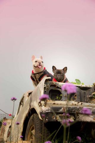 Name:  鹺ö෾.jpg
Views: 428
Size:  18.8 KB