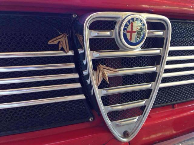 Name:  1513232_10202728195024052_1353601047_n.jpg
Views: 3839
Size:  53.5 KB