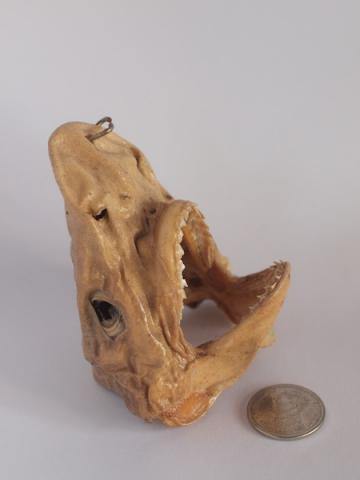 Name:  PC022296.jpg
Views: 244
Size:  11.6 KB