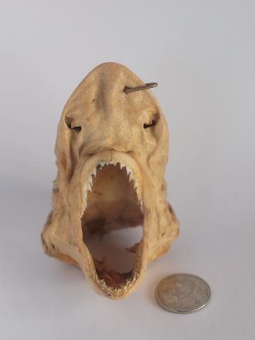 Name:  PC022299.jpg
Views: 257
Size:  11.2 KB