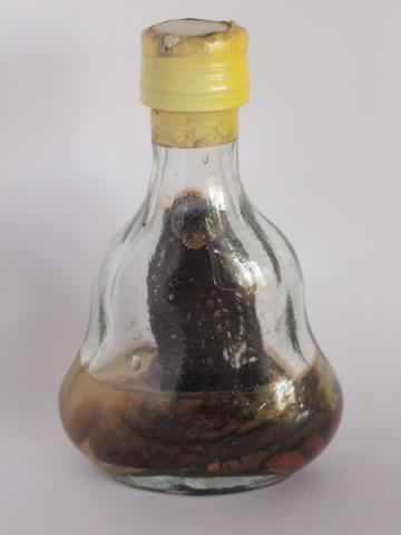 Name:  PC022303.jpg
Views: 358
Size:  13.3 KB