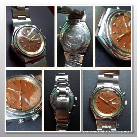 Name:  Beel 5.jpg
Views: 339
Size:  44.5 KB