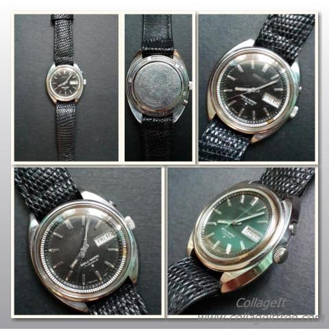 Name:  Beel 2.jpg
Views: 334
Size:  46.9 KB