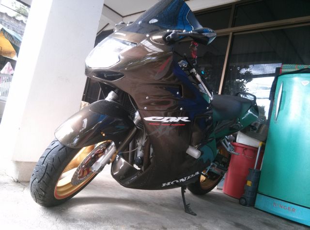 Name:  Black bird 2.jpg
Views: 318
Size:  49.2 KB