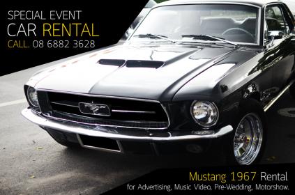 Name:  ford_mustang1967_rental#0.jpg
Views: 1596
Size:  25.1 KB