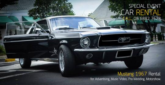 Name:  ford_mustang1967_rental#1.jpg
Views: 1719
Size:  31.1 KB