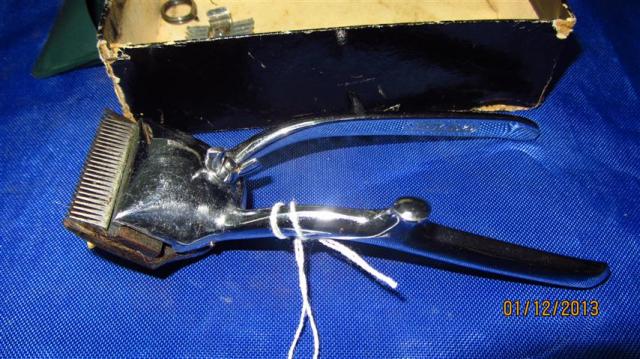 Name:  IMG_1521 (Small).jpg
Views: 614
Size:  54.3 KB