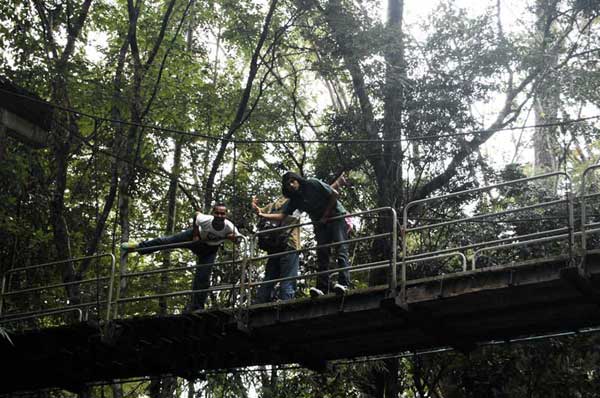 Name:  DSC_0169.jpg
Views: 107
Size:  52.8 KB