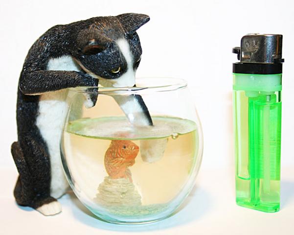 Name:  q2519.jpg
Views: 569
Size:  33.7 KB