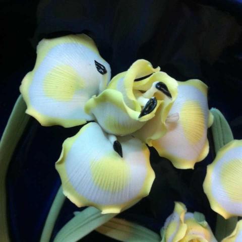 Name:  image.jpg
Views: 852
Size:  23.7 KB