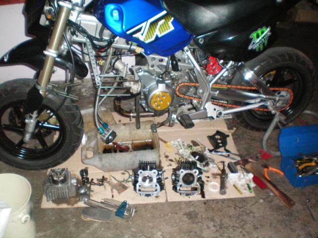 Name:  100_0161.jpg
Views: 2642
Size:  59.4 KB