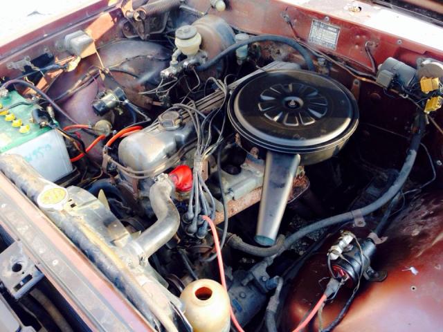 Name:  1509159_778933832119482_1573745538_n.jpg
Views: 499
Size:  61.9 KB